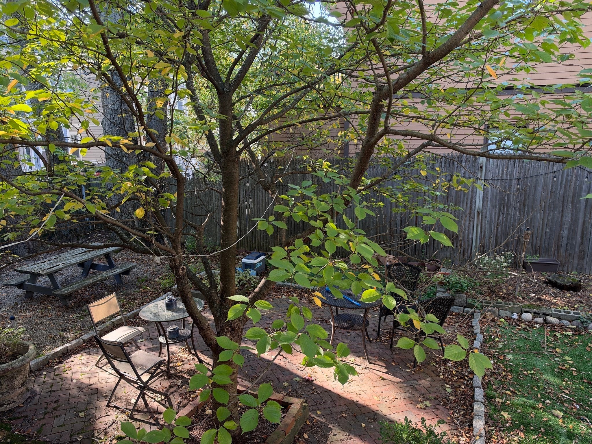 41 Creighton St, Cambridge, MA, 41 Creighton St, Cambridge, MA Photo #9