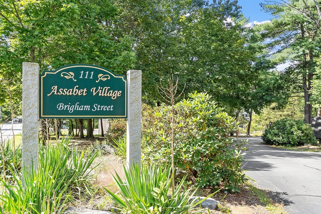 111 Brigham Street 23D