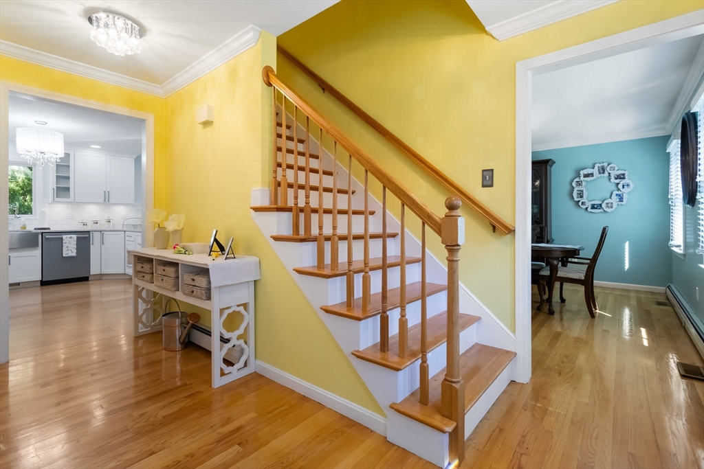 49 David Dr