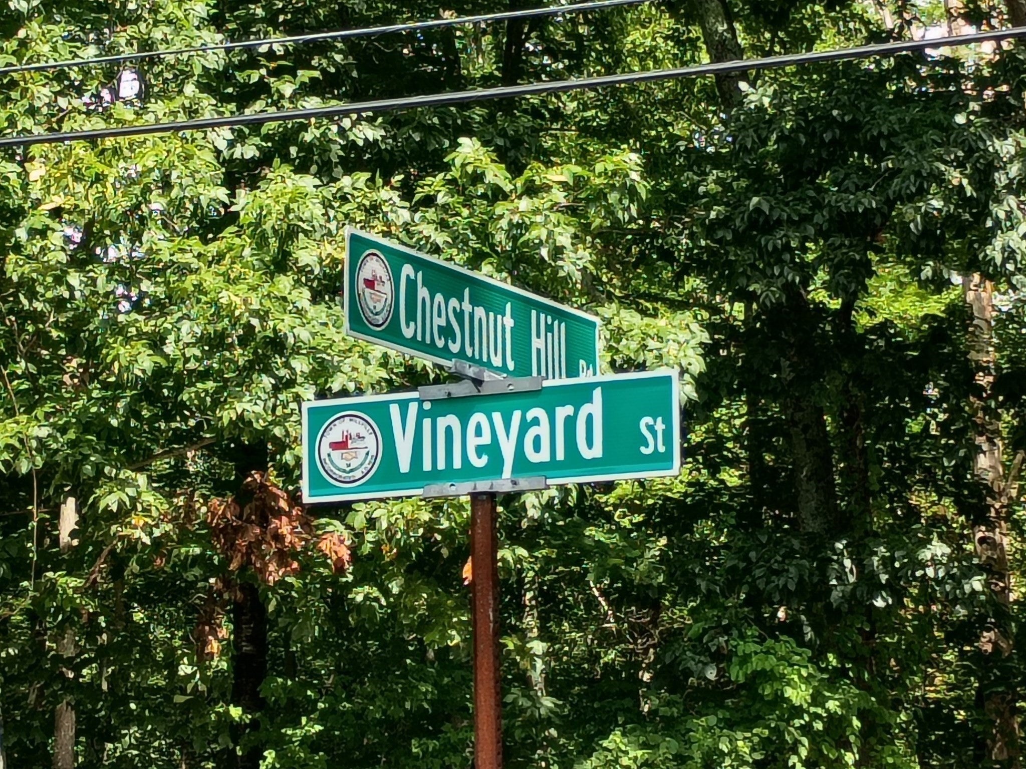 522 Chestnut Hill
