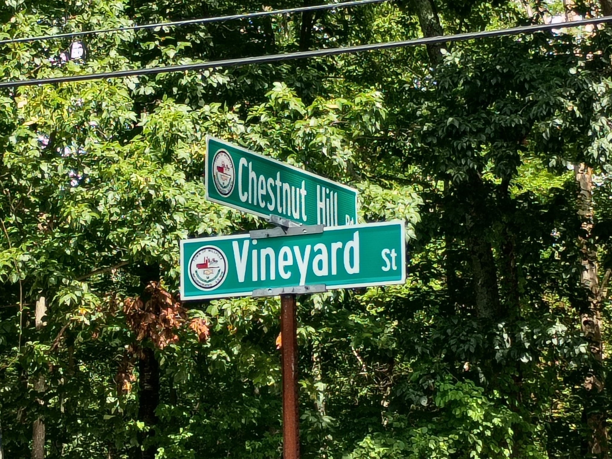 522 Chestnut Hill