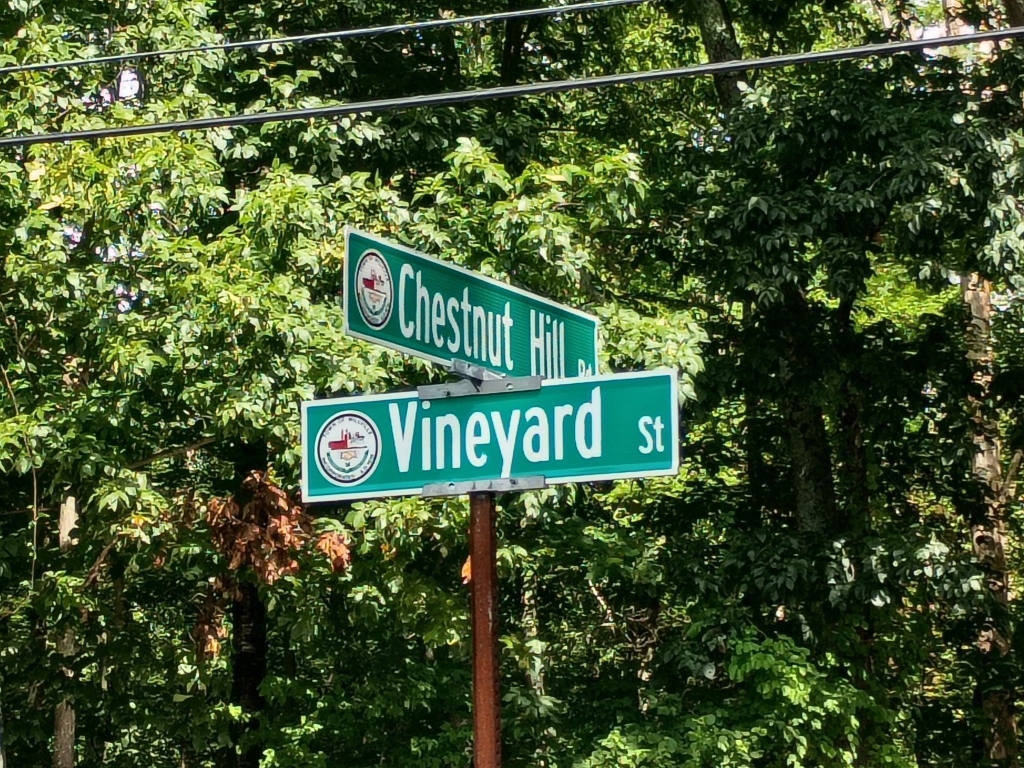 522 Chestnut Hill
