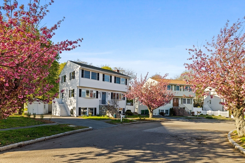 12 Mammola Way, Medford, MA Photo #32