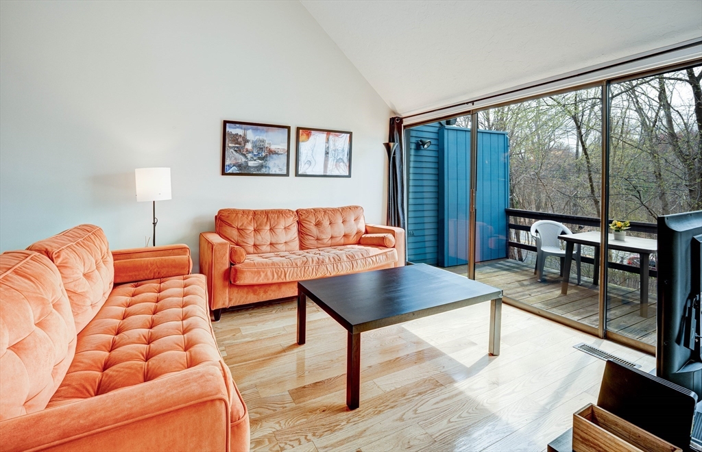 271 Brown Bear Crossing 271