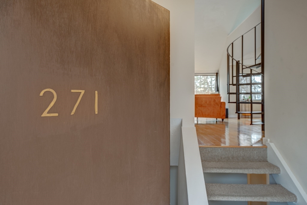 271 Brown Bear Crossing 271
