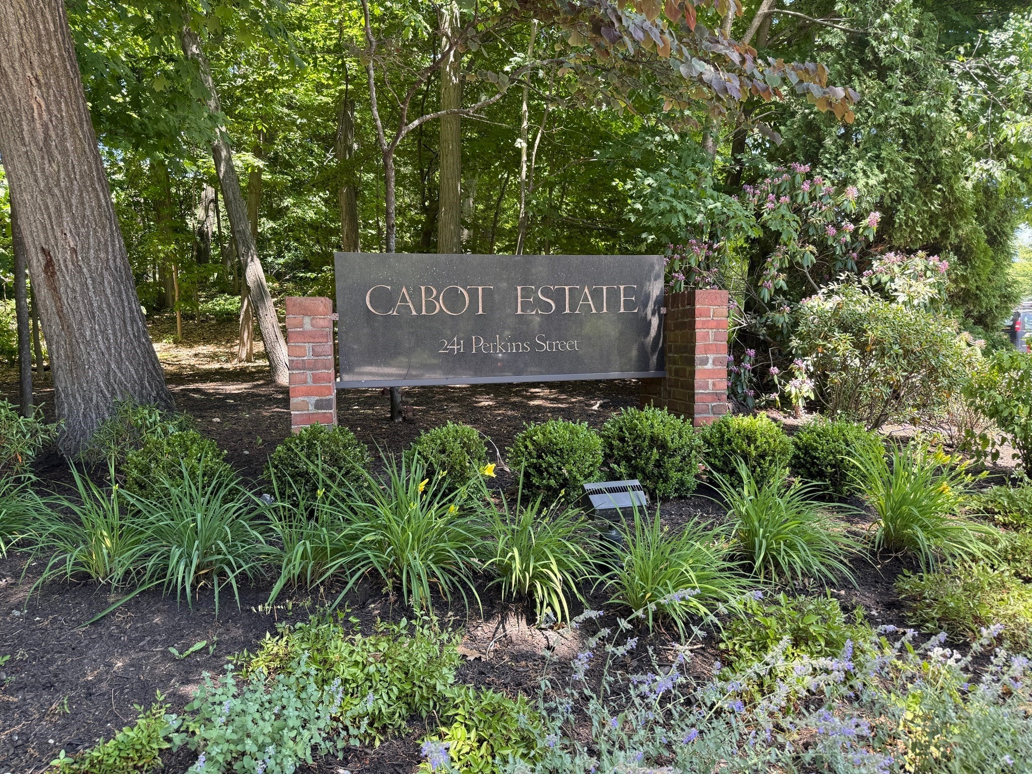 241 Perkins St