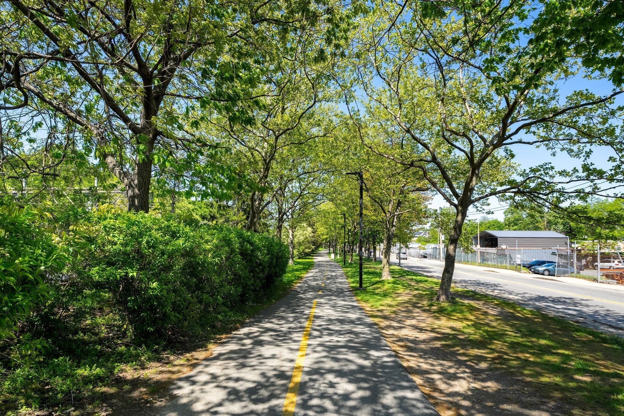 156 Green St #302, Boston, MA, 156 Green St #302, Boston, MA Photo #25