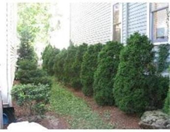 Cambridge, Massachusetts 02139, United States, 4 Bedrooms Bedrooms, ,3 BathroomsBathrooms,Residential,Active,158660