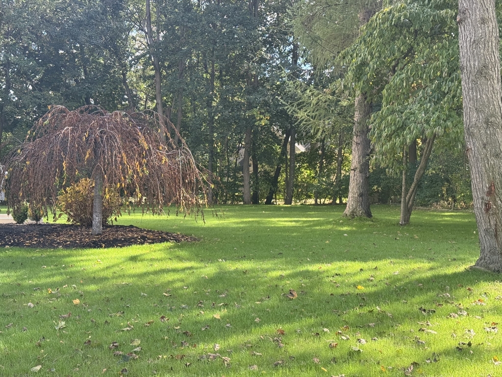 Natick, Massachusetts 01760, United States, 6 Bedrooms Bedrooms, ,6 BathroomsBathrooms,Residential,Active,222679