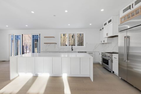 58 Massasoit Ave Sudbury MA 01776