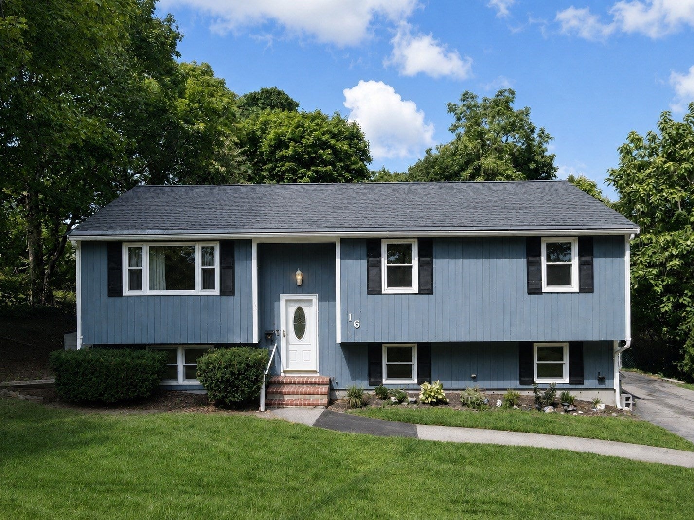 16 Andrew Avenue