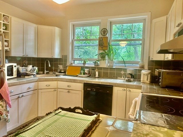 115 Freeman St #1, Brookline, MA, 115 Freeman St #1, Brookline, MA Photo #6