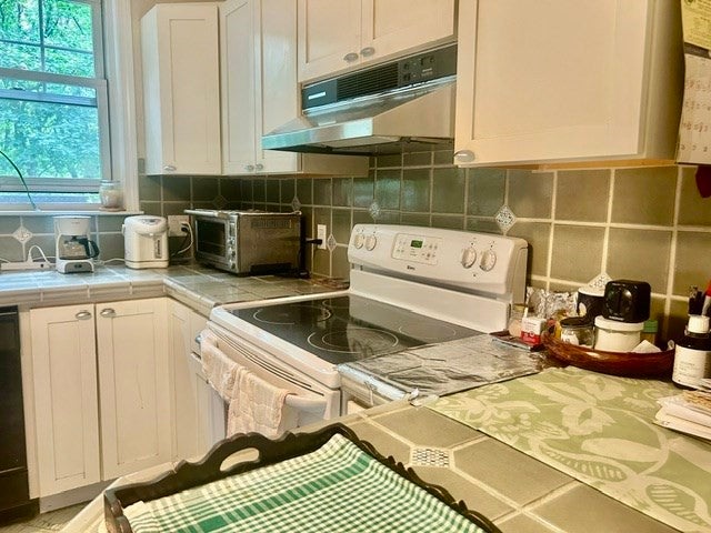 115 Freeman St #1, Brookline, MA, 115 Freeman St #1, Brookline, MA Photo #7