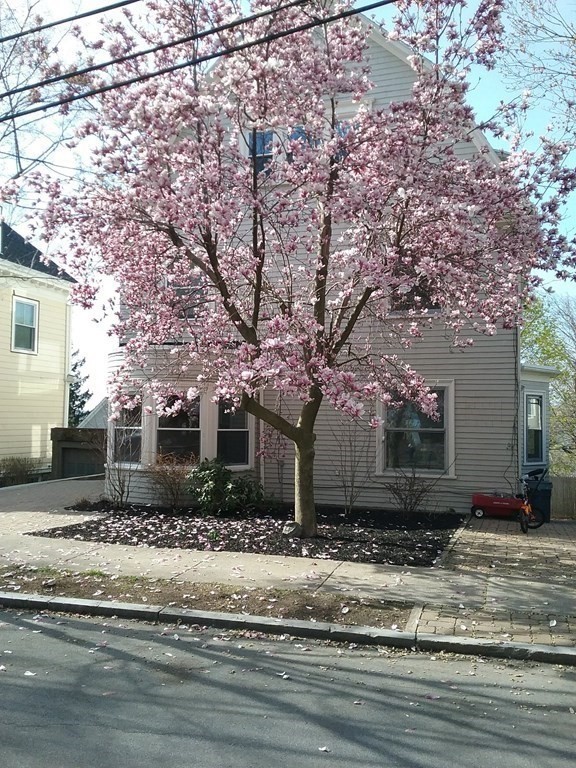 Brookline, Massachusetts 02446, United States, 6 Bedrooms Bedrooms, ,6 BathroomsBathrooms,Residential,Active,91392