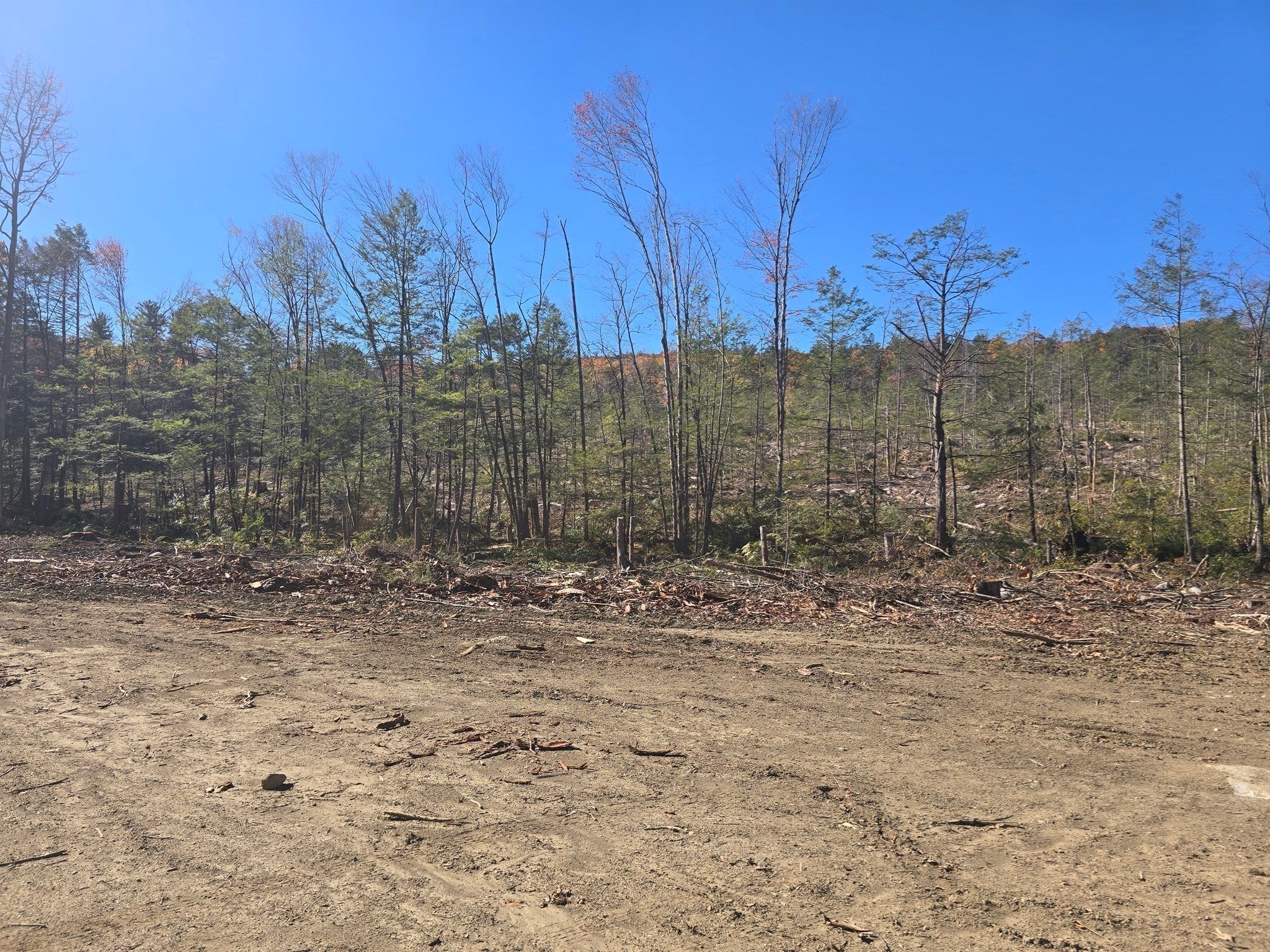 00 Chestnut Hill Rd
