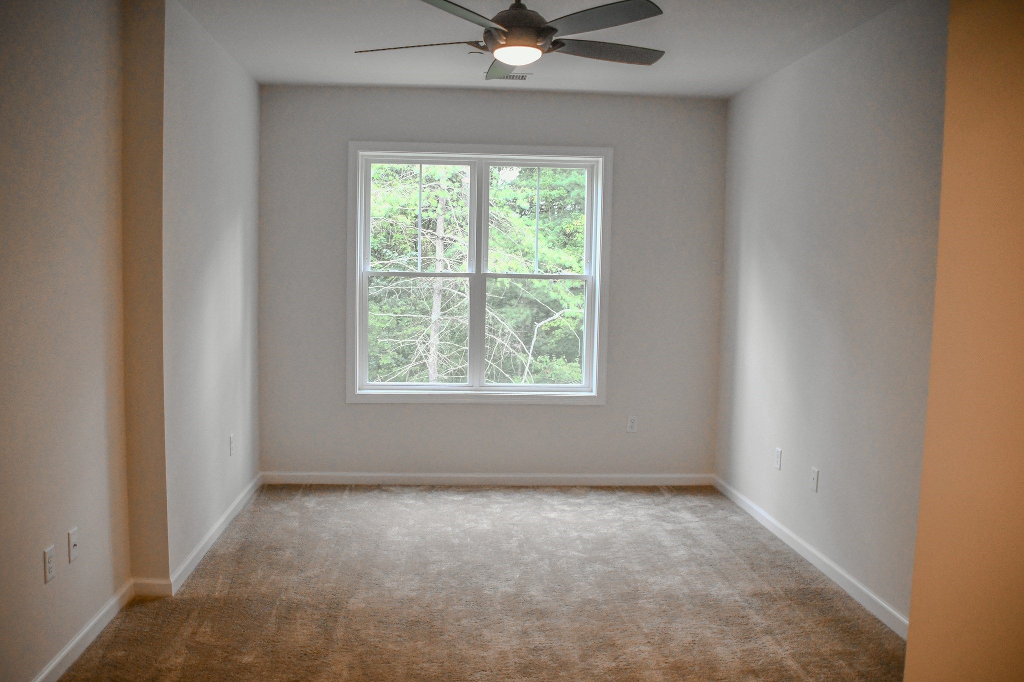 2 Winslow Ln #310, Grafton, MA, 2 Winslow Ln #310, Grafton, MA Photo #7