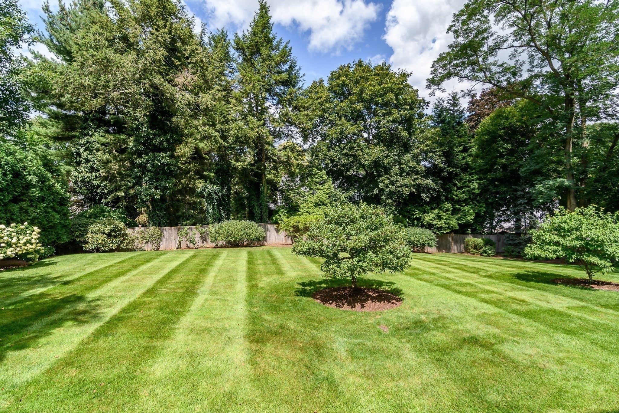 186 Oakland Street, Wellesley, MA Photo #21