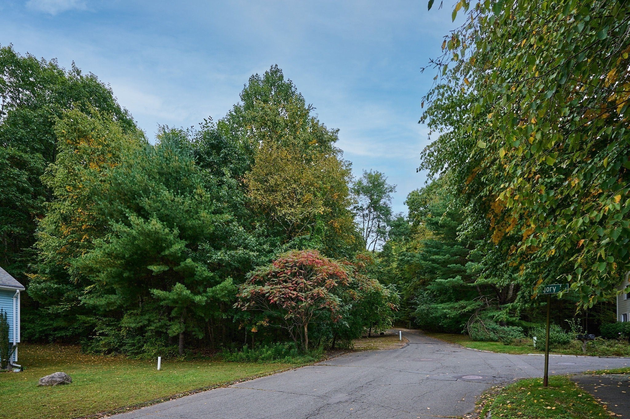 50 Matthew Dr