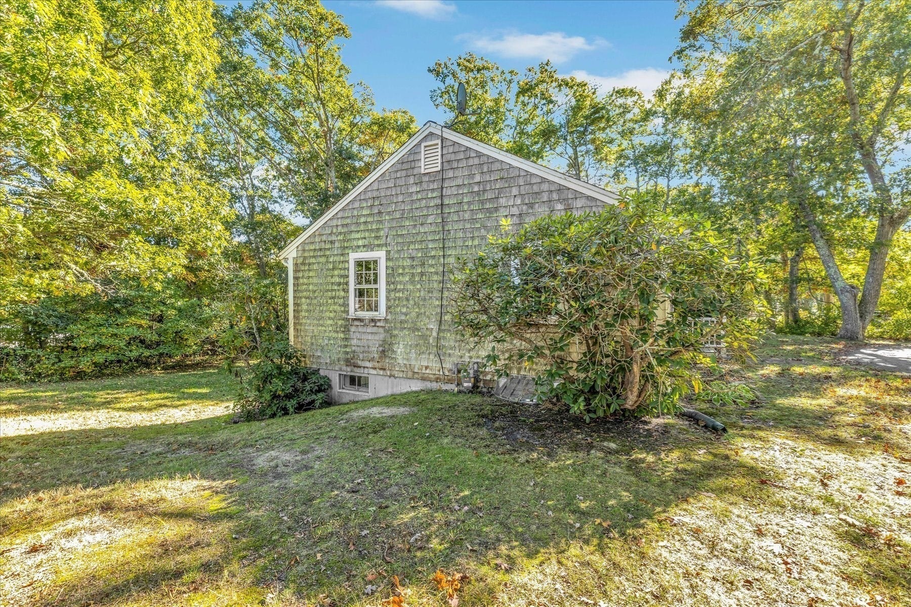 31 Surrey Lane