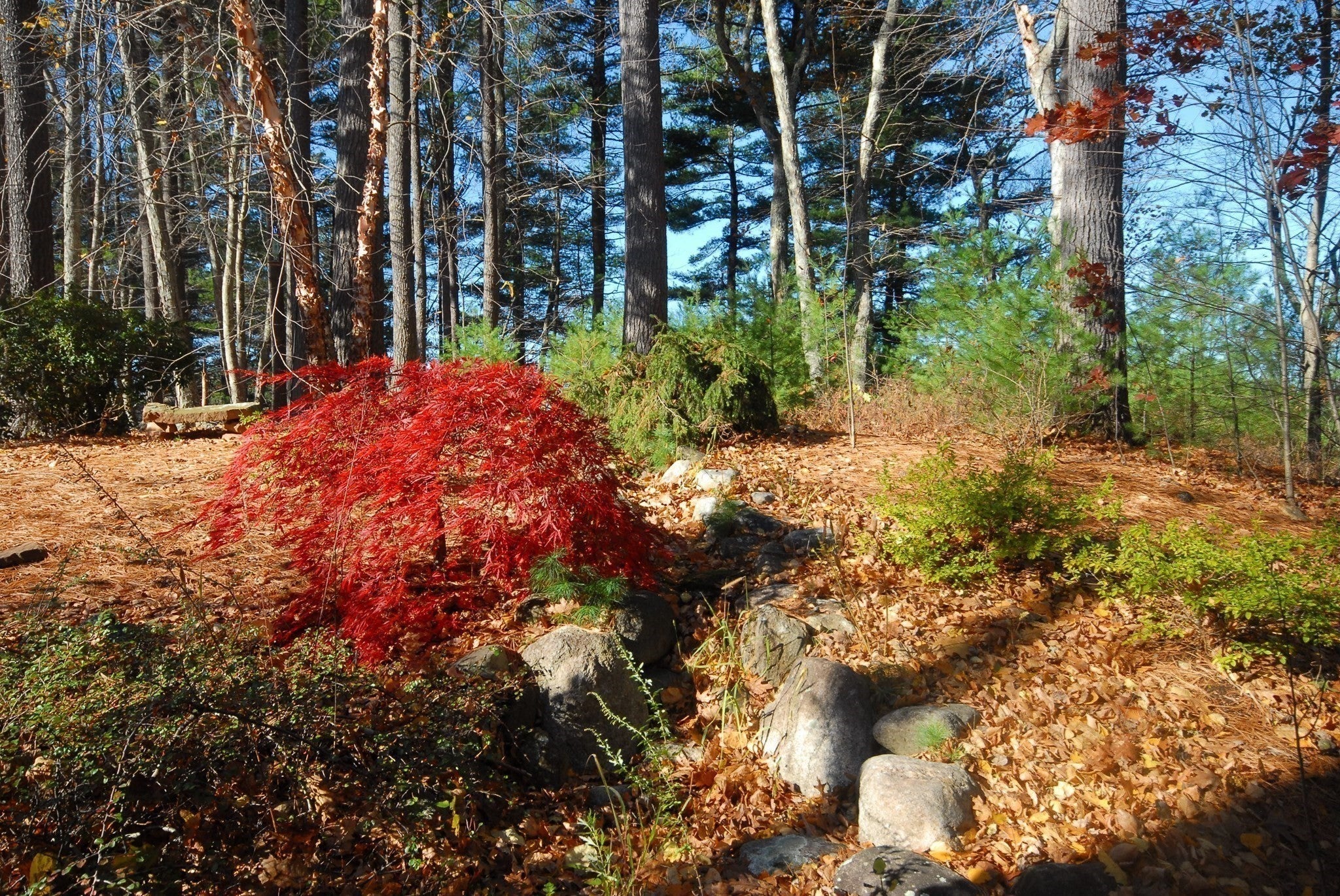 96 Forest Ridge Rd #96, Concord, MA Photo #31
