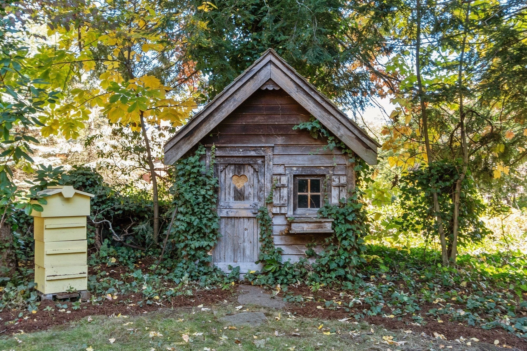 6 Prentiss Lane, Belmont, MA Photo #36