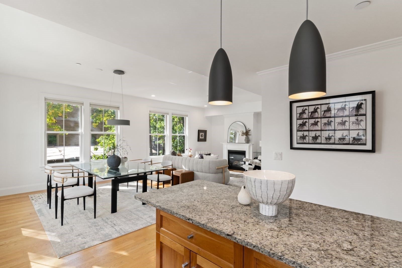 76 Green Street #2, Brookline, MA, 76 Green Street #2, Brookline, MA Photo #7
