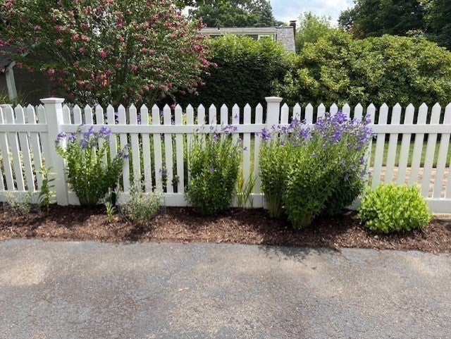 1566 Main Street, Walpole, MA, 1566 Main Street, Walpole, MA Photo #26