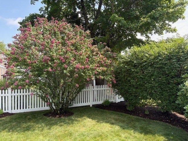 1566 Main Street, Walpole, MA, 1566 Main Street, Walpole, MA Photo #25