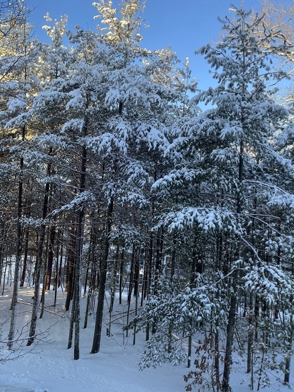 Natick, Massachusetts 01760, United States, 2 Bedrooms Bedrooms, ,2 BathroomsBathrooms,Residential,Active,2103