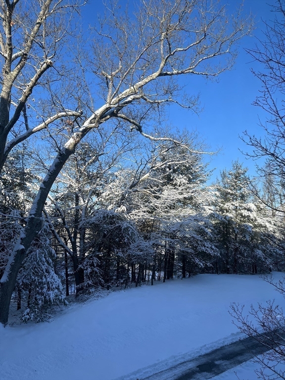 Natick, Massachusetts 01760, United States, 2 Bedrooms Bedrooms, ,2 BathroomsBathrooms,Residential,Active,2103