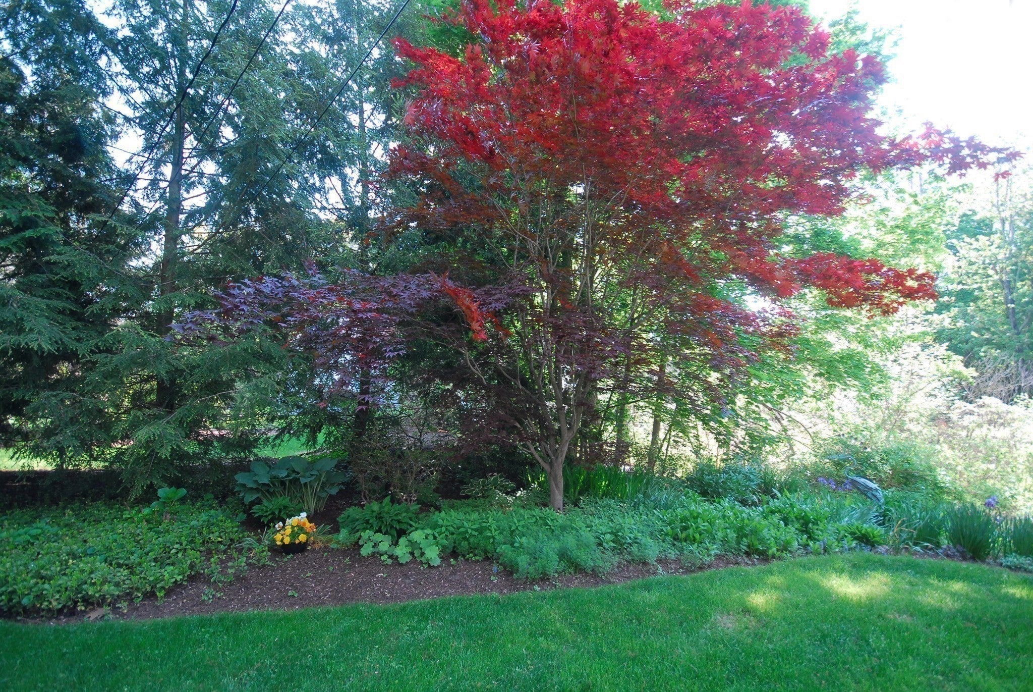 116 Martin Road, Concord, MA, 116 Martin Road, Concord, MA Photo #37
