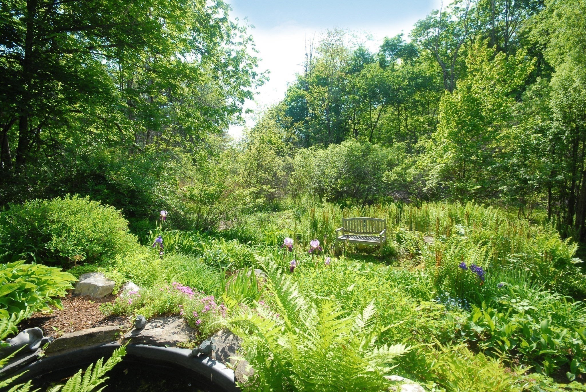 116 Martin Road, Concord, MA, 116 Martin Road, Concord, MA Photo #36