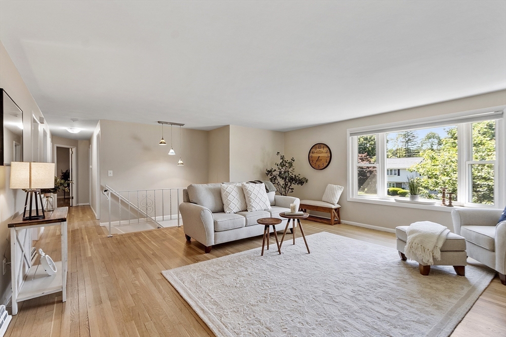 49 Angelica Dr