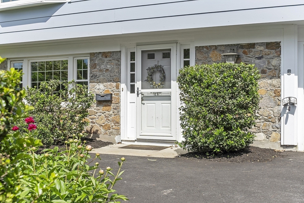 49 Angelica Dr