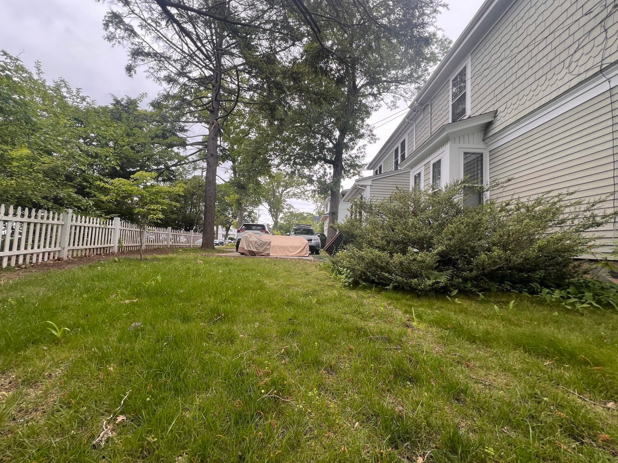 180 Warren St #180, Needham, MA, 180 Warren St #180, Needham, MA Photo #2