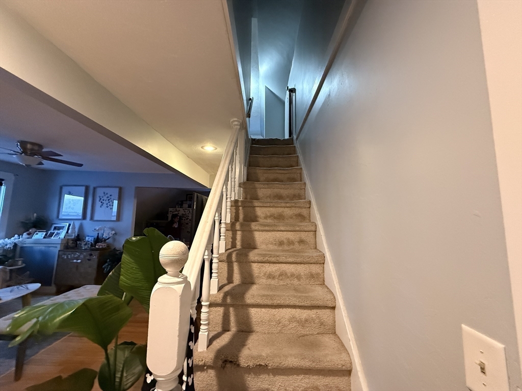 22 Linden Rd #3, Melrose, MA Photo #12