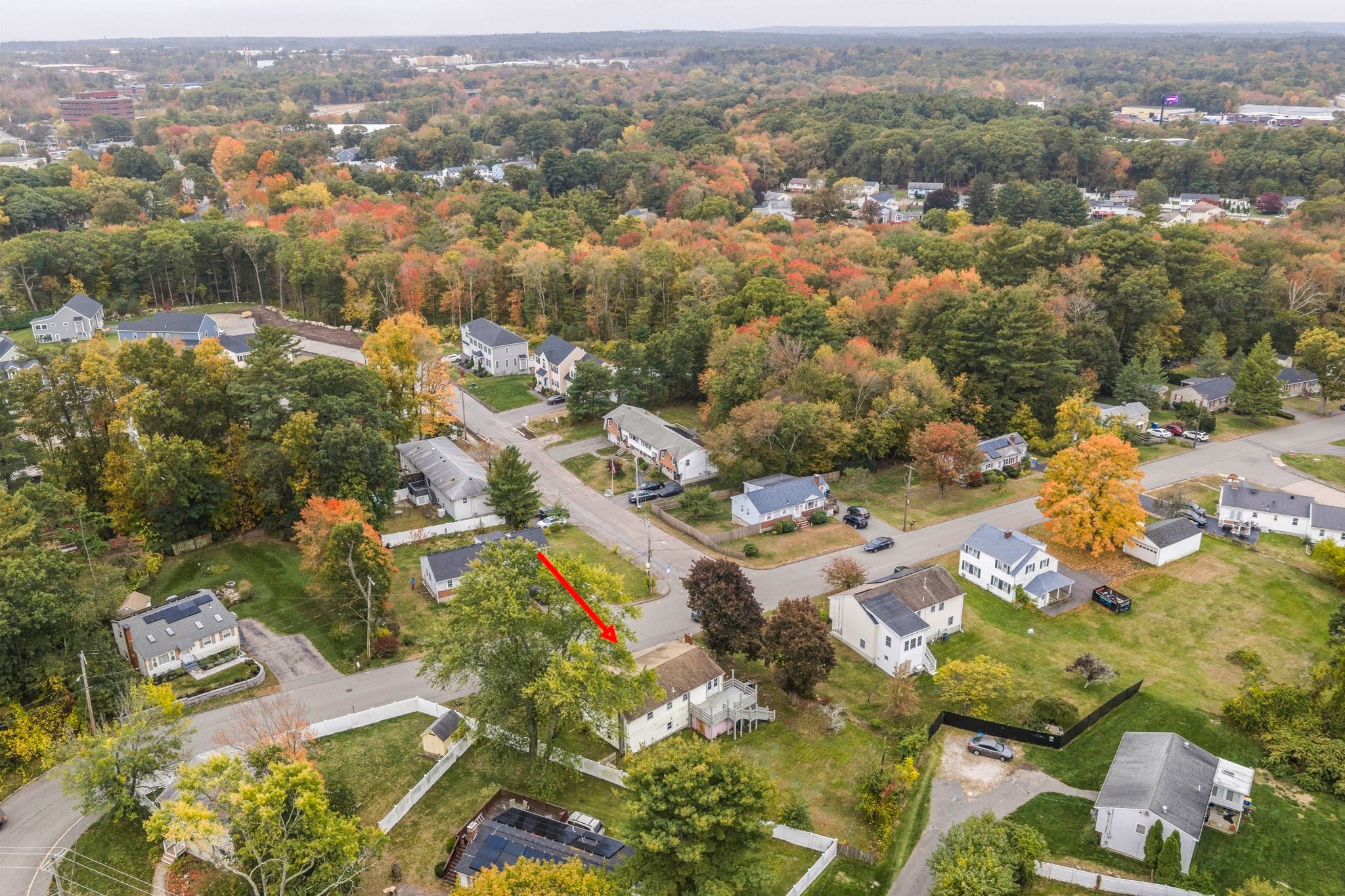 9 Vine Street, Randolph, MA, 9 Vine Street, Randolph, MA Photo #39