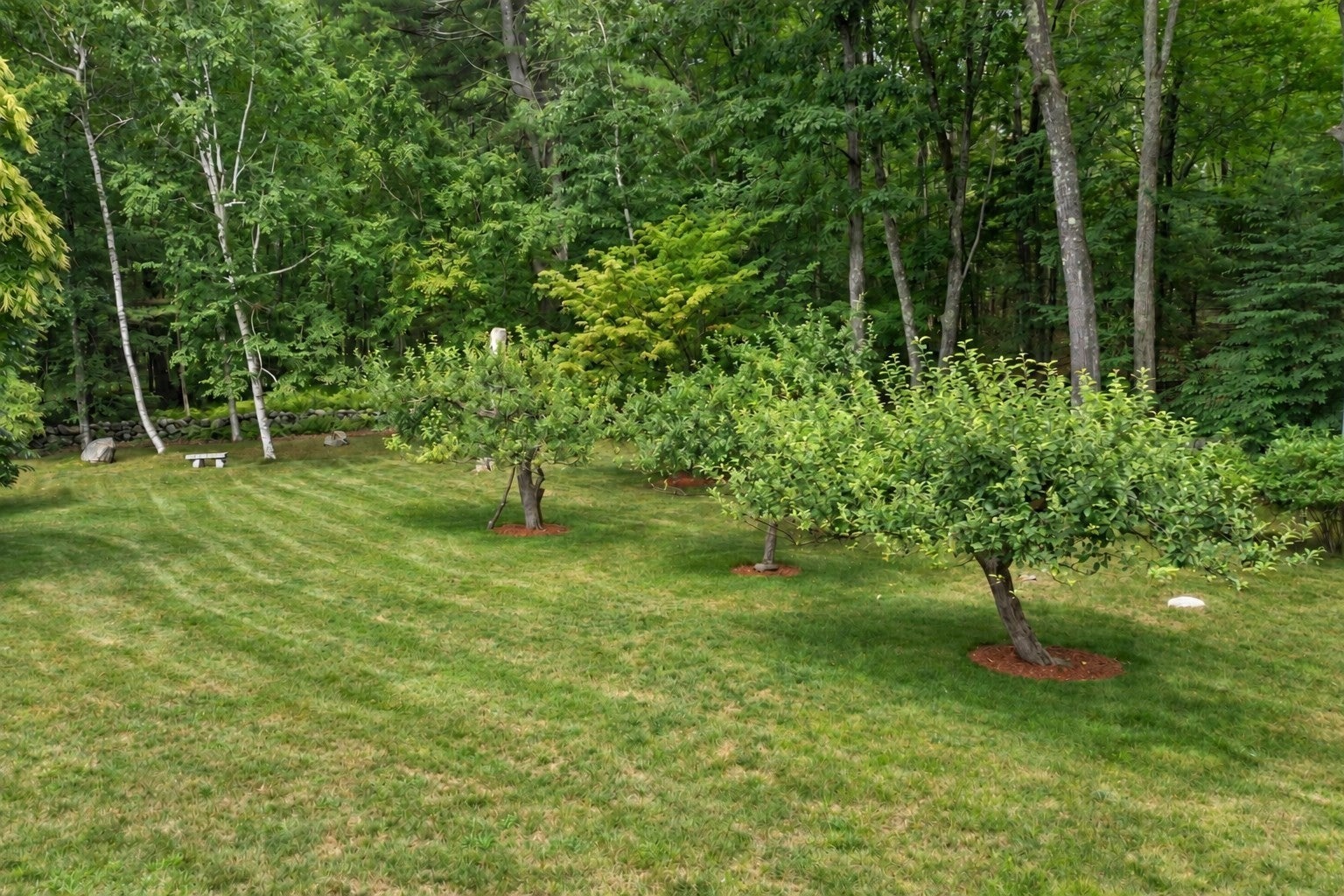 2 Sutton Pl, Acton, MA, 2 Sutton Pl, Acton, MA Photo #41