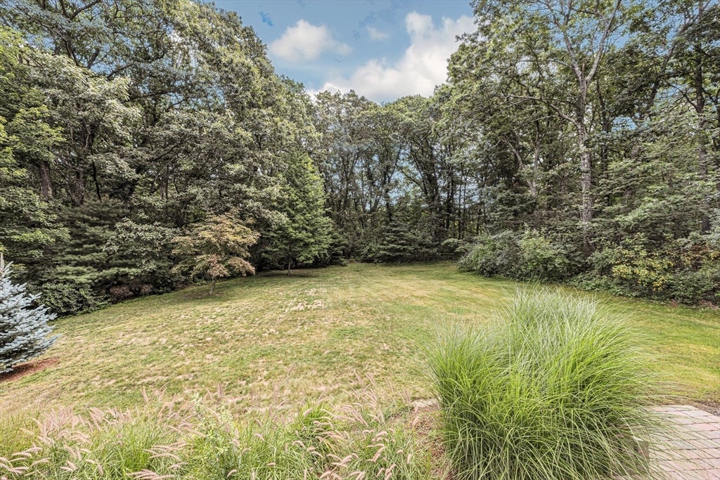 5 Strawberry Ln, Billerica, MA, 5 Strawberry Ln, Billerica, MA Photo #39