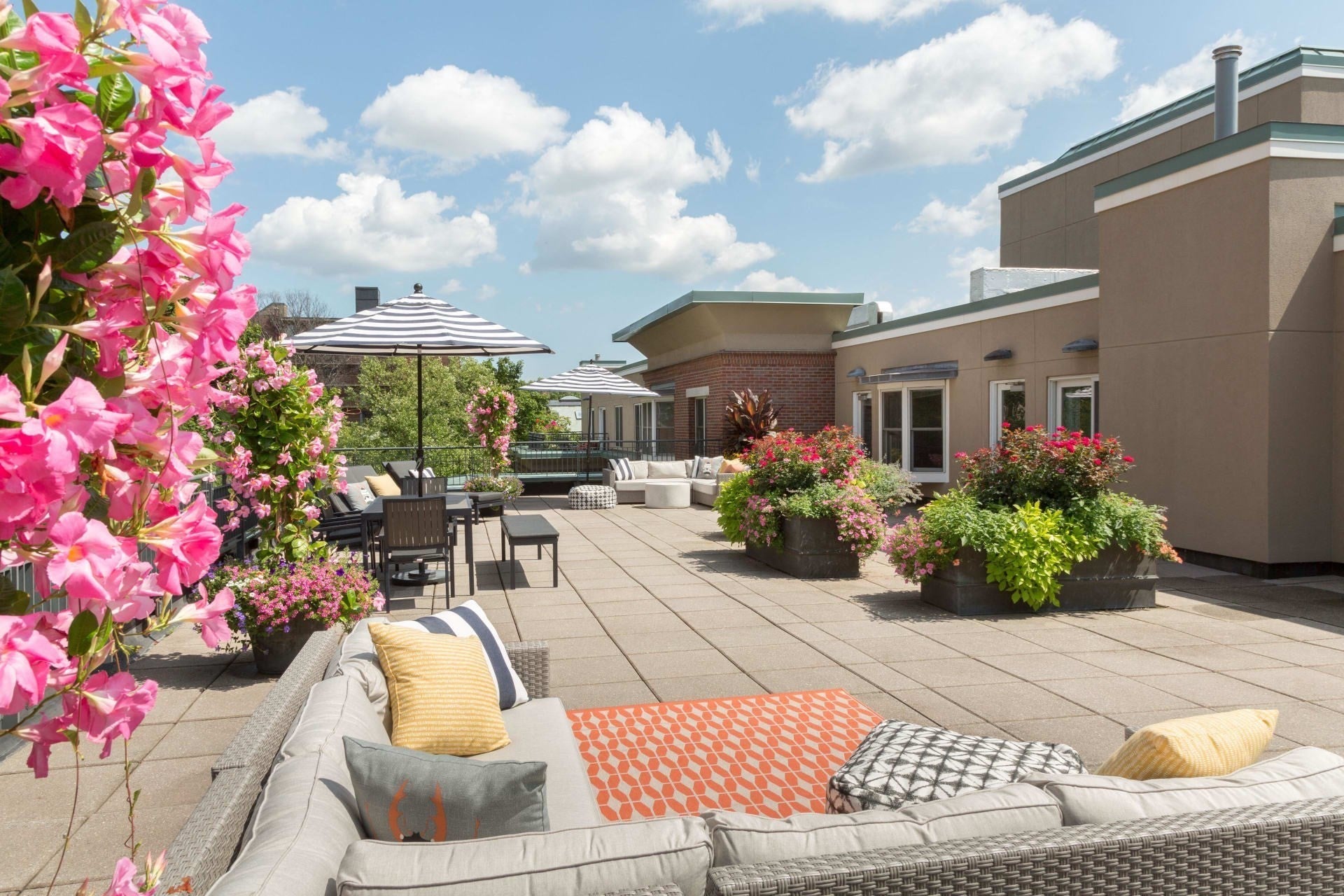 77 Marion St #103, Brookline, MA, 77 Marion St #103, Brookline, MA Photo #5