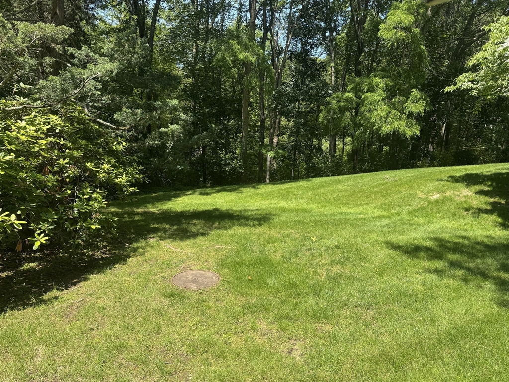 21 Steepletree Ln 21