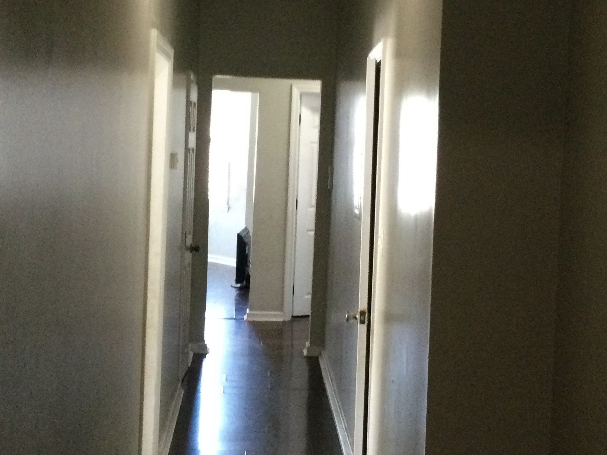 162 Howard Ave, Boston, MA Photo #2