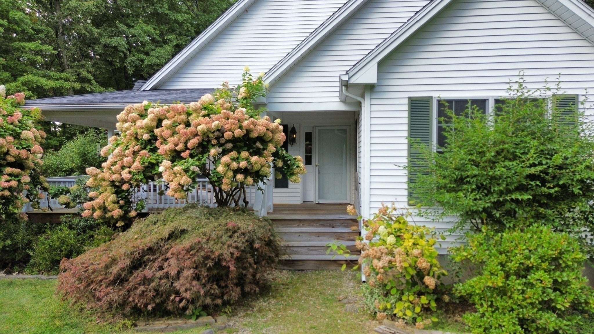 345 Rocky Hill Rd, Northampton, MA Photo #5