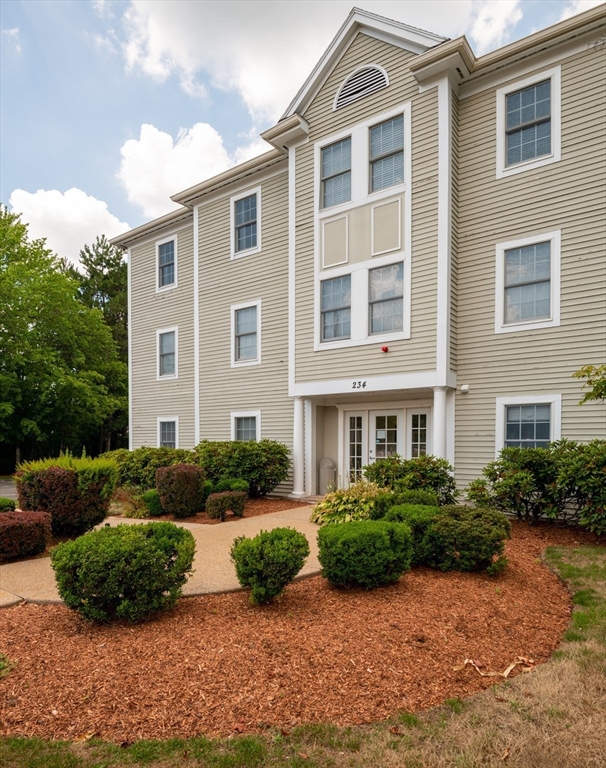 234 Water St 204