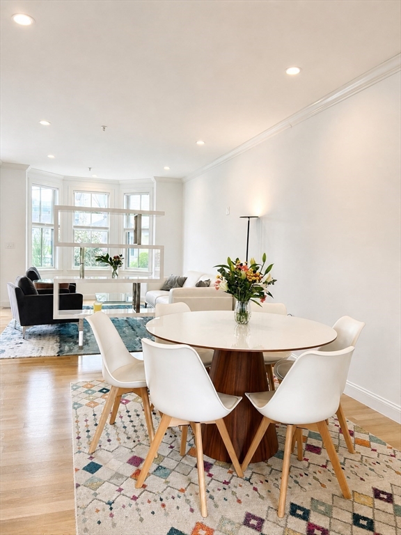50 Waverly C