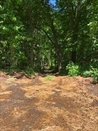 0 Auburn Road