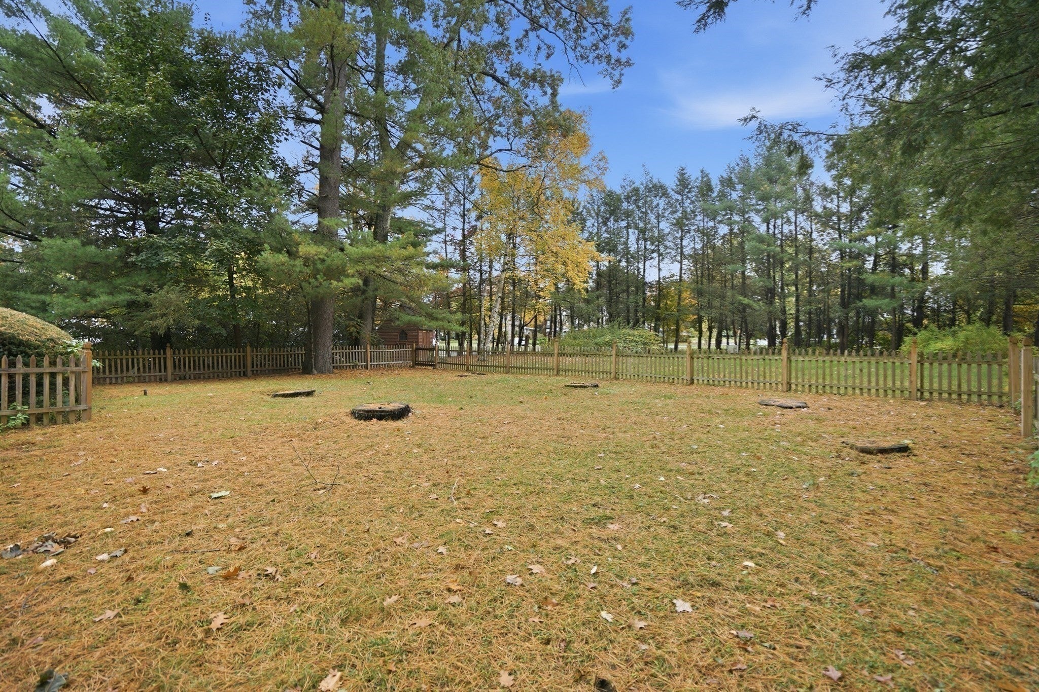 96 Western Ave, Westfield, MA Photo #11