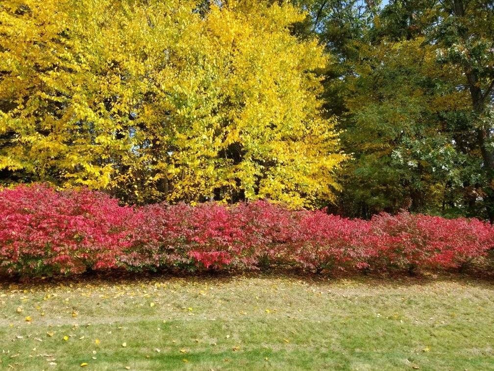 Chicopee, Massachusetts 01020, United States, 2 Bedrooms Bedrooms, ,2 BathroomsBathrooms,Residential,Contingent,117732