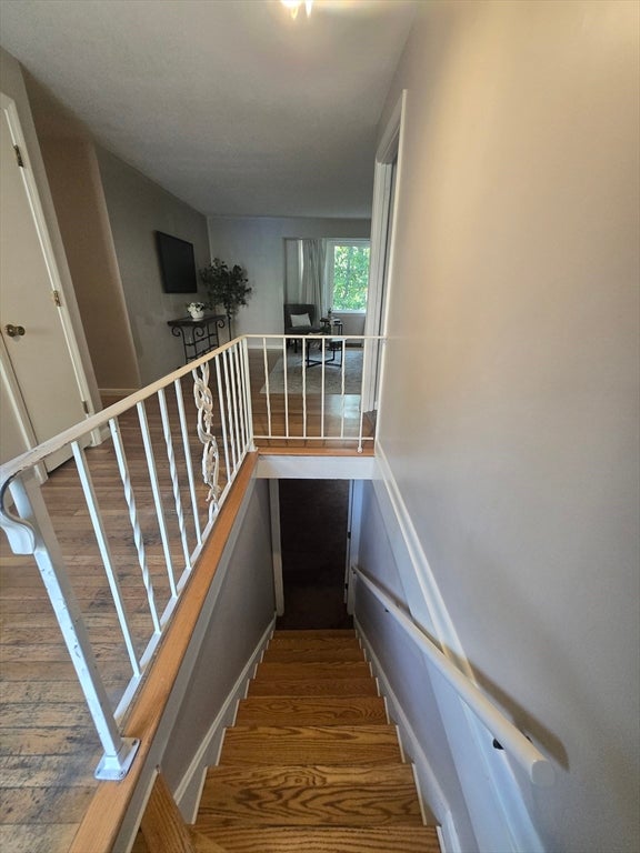 42 Iowa St, Worcester, MA Photo #16