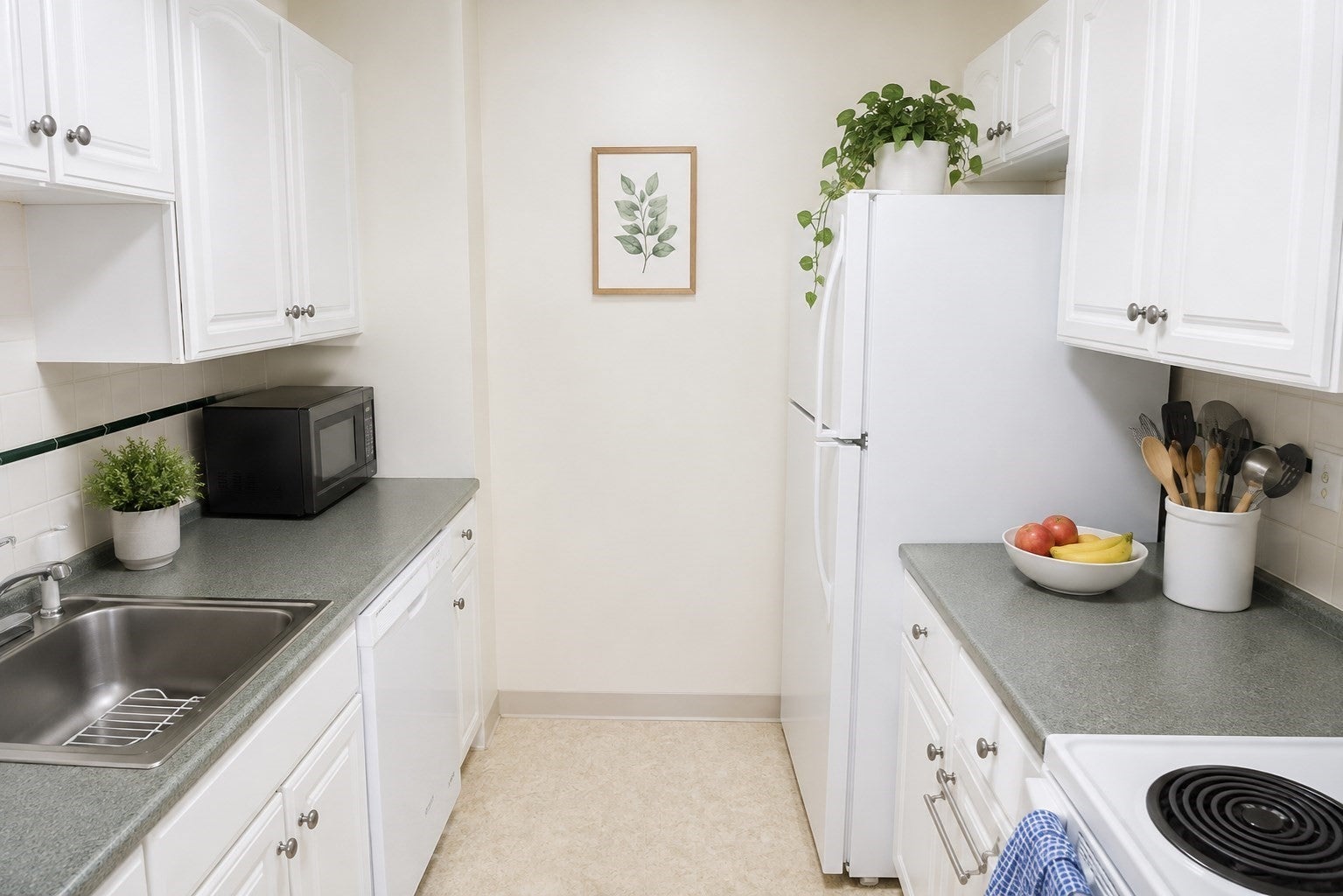 49 Marion St #4C, Brookline, MA, 49 Marion St #4C, Brookline, MA Photo #7